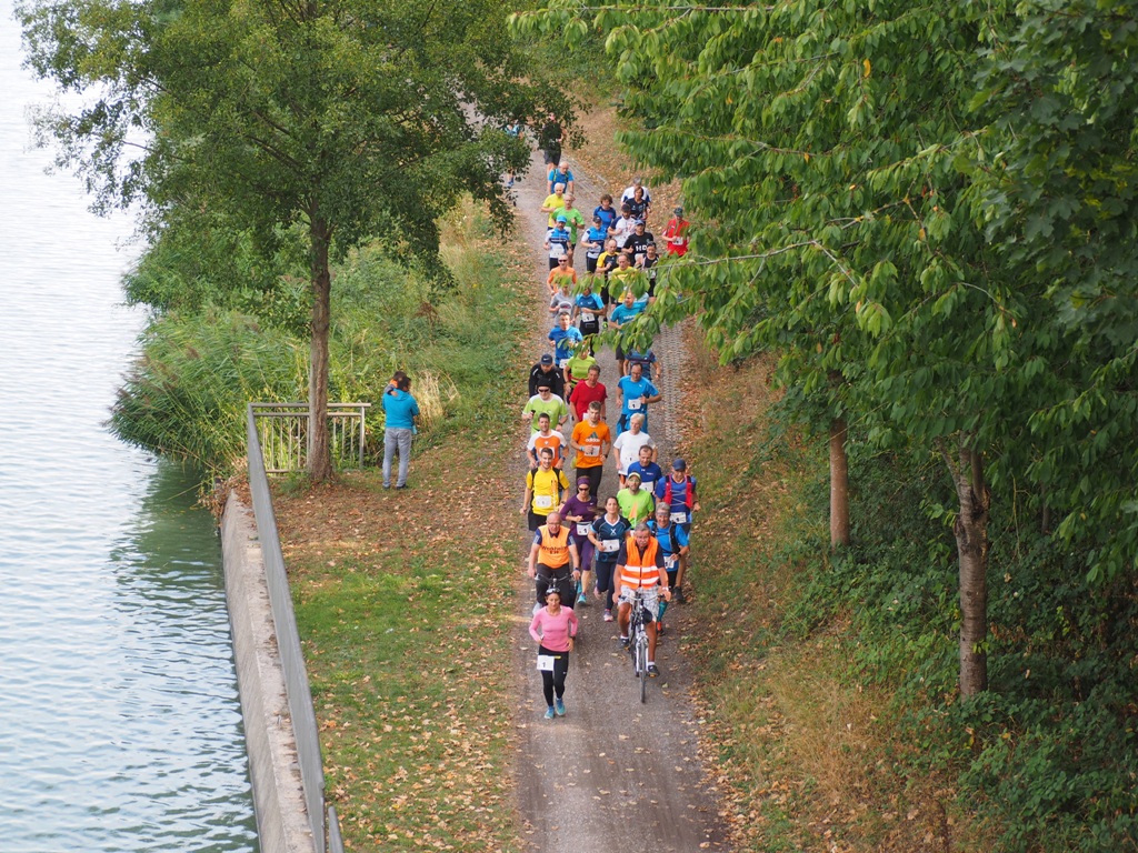 P1011479.jpg